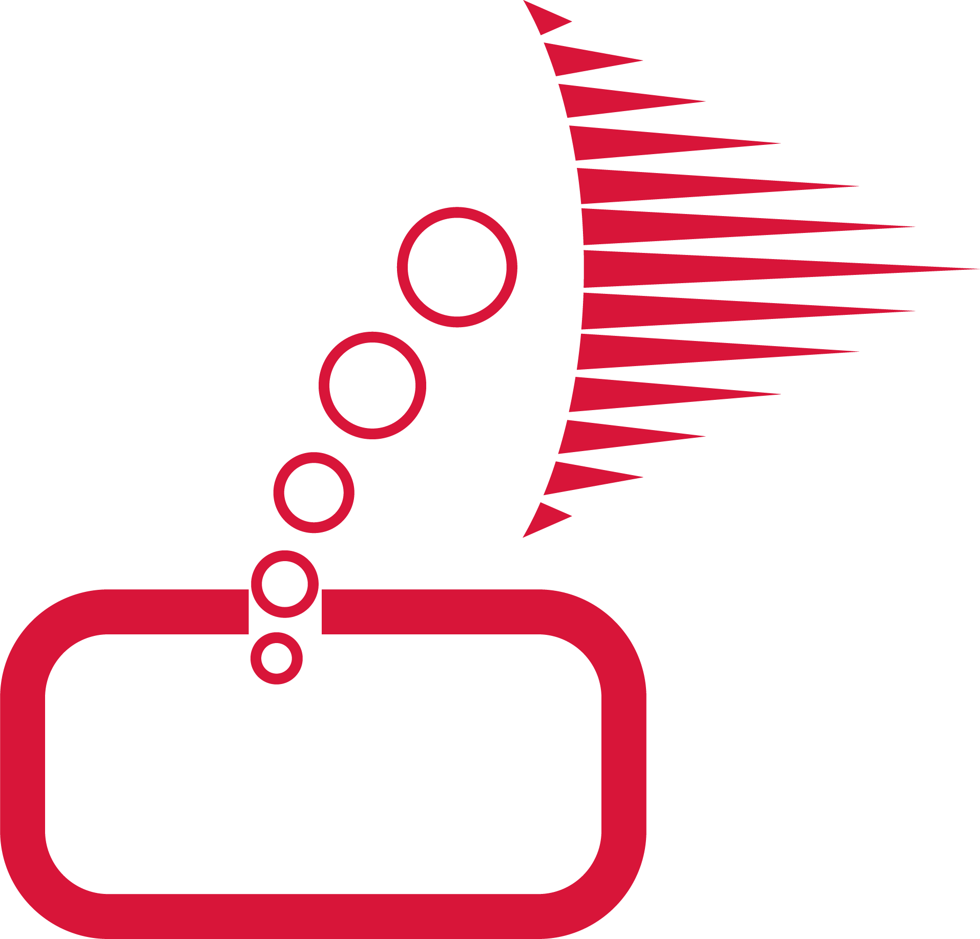 ASM Pocket Logo